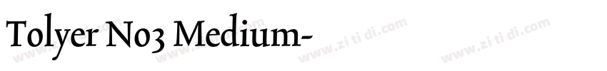 Tolyer No3 Medium字体转换